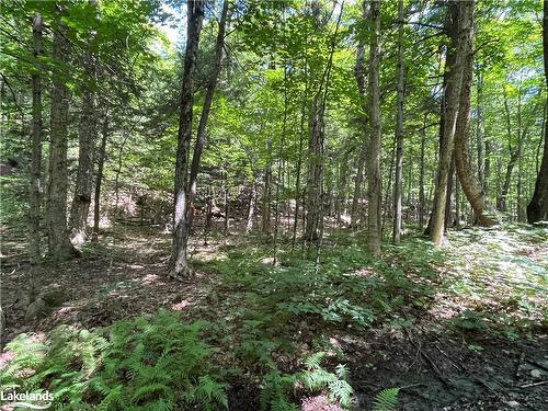 Lot 134 Brennan Circle, Huntsville, ON 