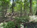 Lot 134 Brennan Circle, Huntsville, ON 