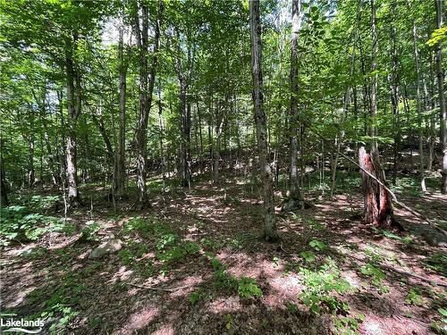 Lot 134 Brennan Circle, Huntsville, ON 