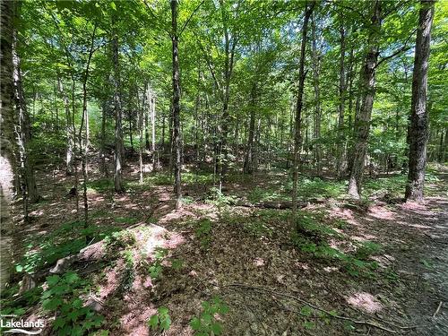 Lot 134 Brennan Circle, Huntsville, ON 