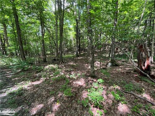 Lot 134 Brennan Circle, Huntsville, ON 