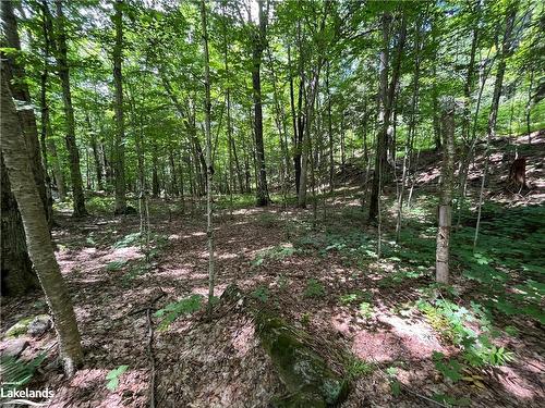 Lot 134 Brennan Circle, Huntsville, ON 