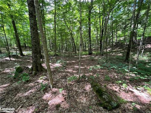 Lot 134 Brennan Circle, Huntsville, ON 