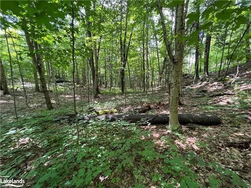 Lot 134 Brennan Circle, Huntsville, ON 