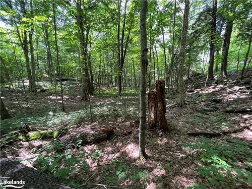 Lot 134 Brennan Circle, Huntsville, ON 