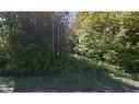 Lot 184 Champlain Road, Tiny, ON 