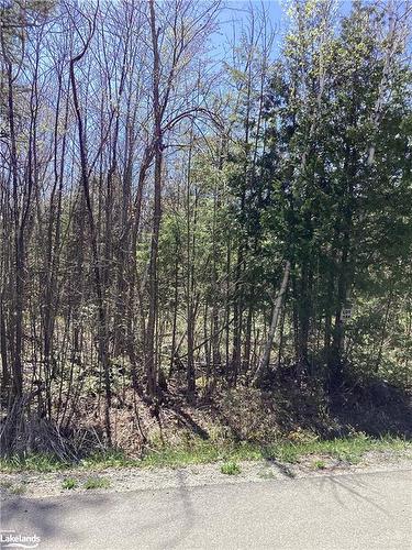 Lot 184 Champlain Road, Tiny, ON 