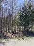 Lot 184 Champlain Road, Tiny, ON 