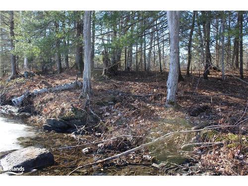 Part Lots H & I Severn River Island, Gravenhurst, ON 