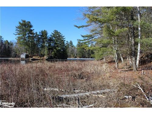 Part Lots H & I Severn River Island, Gravenhurst, ON 