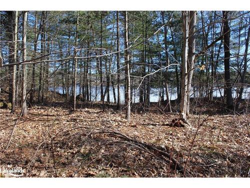 Part Lots H & I Severn River Island, Gravenhurst, ON 