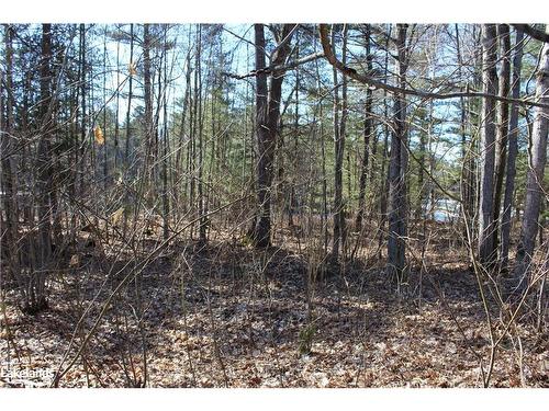 Part Lots H & I Severn River Island, Gravenhurst, ON 