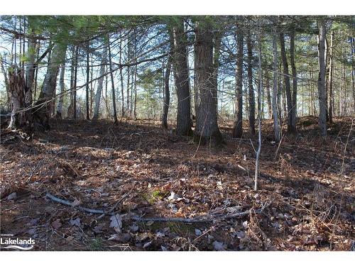 Part Lots H & I Severn River Island, Gravenhurst, ON 