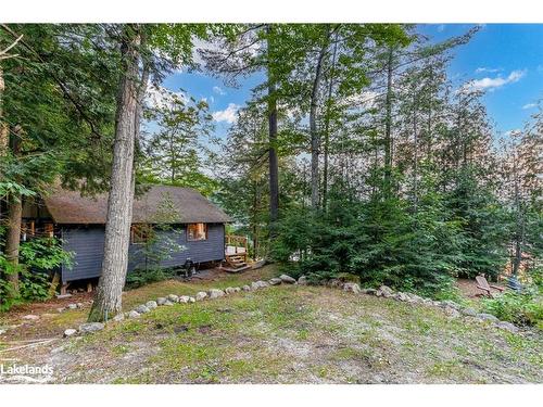 1027 North Pine Drive, Dorset, ON - Outdoor