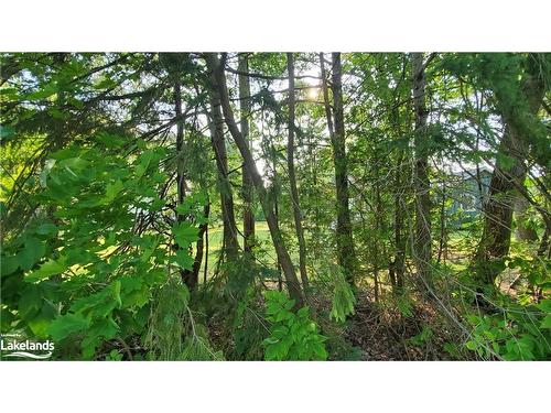 Lot 59 47Th Street S, Wasaga Beach, ON 