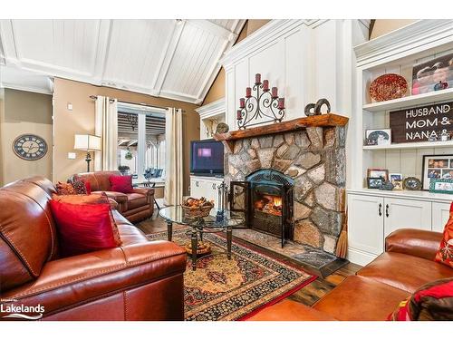 9319 County Rd 503, Gooderham, ON - Indoor Photo Showing Living Room With Fireplace