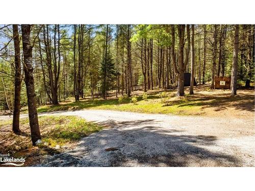 9319 County Rd 503, Gooderham, ON - Outdoor With View