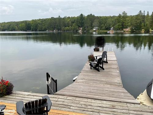 1433 South Horn Lake Road, Ryerson, ON - Outdoor With Body Of Water With View