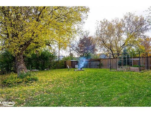 396 Sixth Street, Collingwood, ON - Outdoor With Backyard