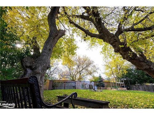 396 Sixth Street, Collingwood, ON - Outdoor With Backyard