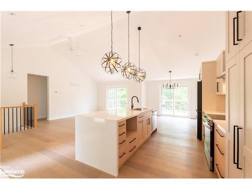 24 Collins Court, Utterson, ON - Indoor Photo Showing Kitchen With Upgraded Kitchen