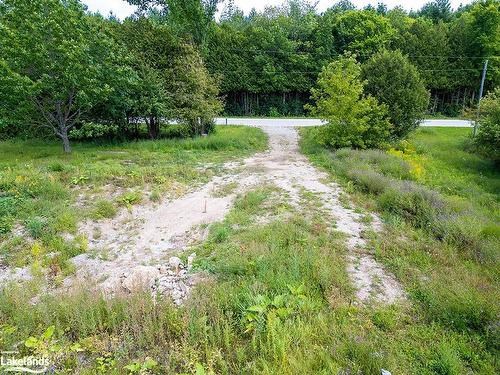 397600 Concession 10 Road, Meaford Municipality, ON - Outdoor