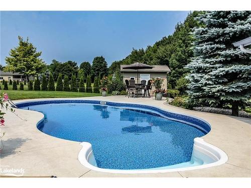 5 Pridham Court, Wasaga Beach, ON - Outdoor With In Ground Pool With Backyard