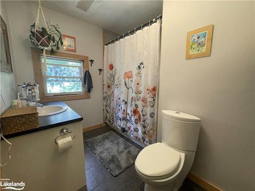 1642 Winhara Road, Gravenhurst, ON - Indoor Photo Showing Bathroom