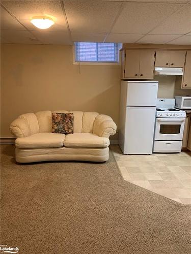 20 Connor Avenue, Collingwood, ON - Indoor Photo Showing Basement