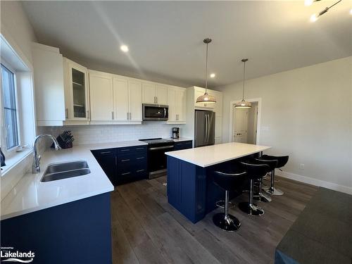 113 Courtland Street, The Blue Mountains, ON - Indoor Photo Showing Kitchen With Double Sink