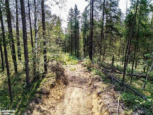 Lot 5-0 Munro Lake Road, Black River-Matheson, ON 