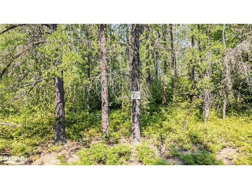 Lot 5-0 Munro Lake Road, Black River-Matheson, ON 