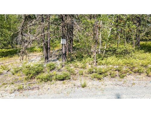 Lot 5-0 Munro Lake Road, Black River-Matheson, ON 