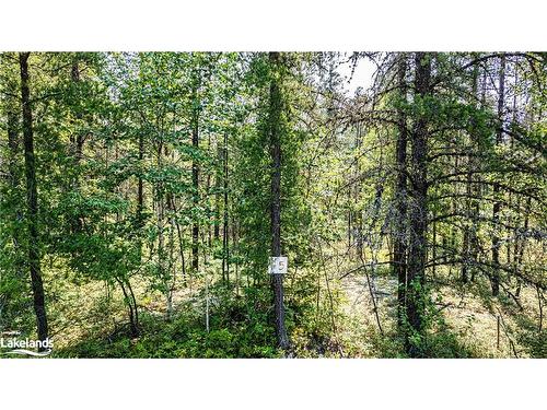 Lot 6-0 Munro Lake Road, Black River-Matheson, ON 