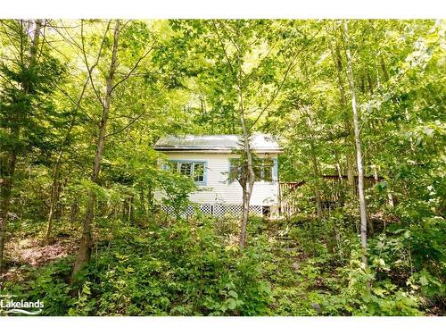 1017 Dungannon Drive, Minden Hills, ON - Outdoor