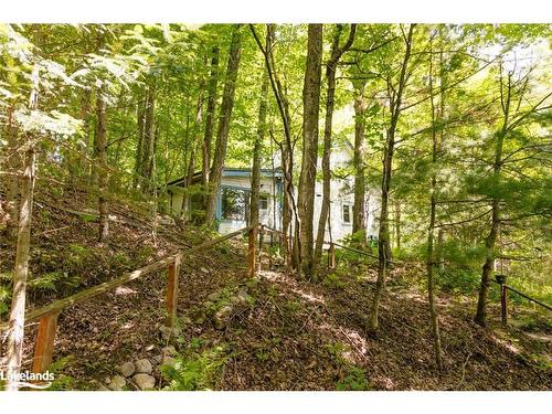 1017 Dungannon Drive, Minden Hills, ON - Outdoor With View