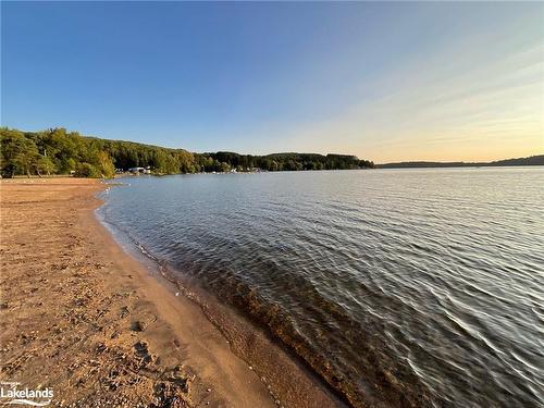 345 Doe Lake Rd Road, Armour, ON - Outdoor With Body Of Water With View