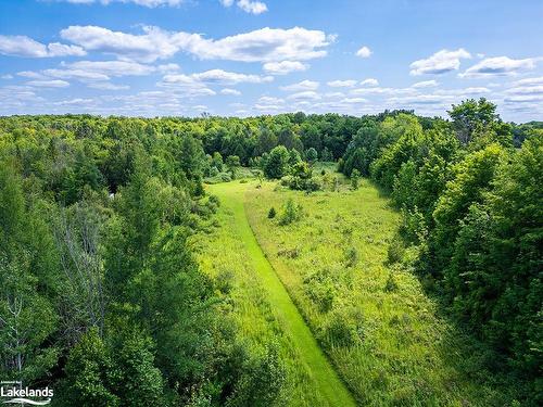 467370 12Th Concession B Road, Grey Highlands, ON - Outdoor With View