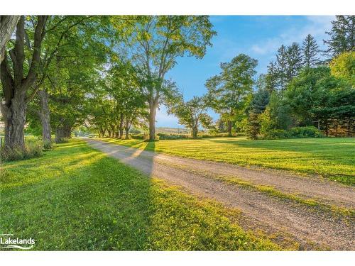 2605 42 County Road, Clearview, ON - Outdoor With View