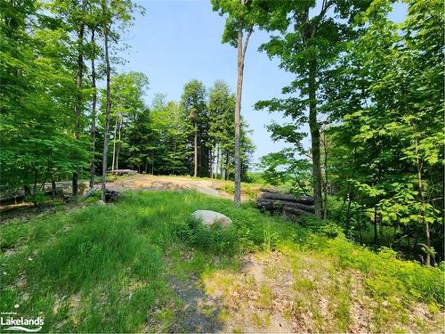 19 Old Hemlock Trail, Huntsville, ON 