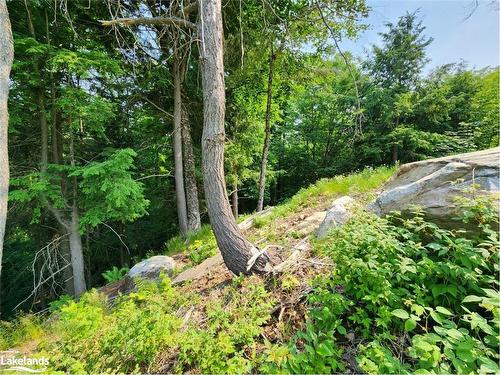 19 Old Hemlock Trail, Huntsville, ON 