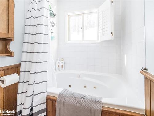 1094 Crumby Lake Drive, Dorset, ON - Indoor Photo Showing Bathroom