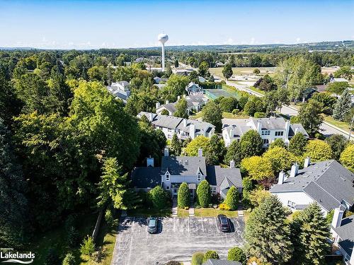 42-55 Louisa Street W, Thornbury, ON - Outdoor With View