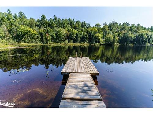 195 Charlies Lane, Huntsville, ON - Outdoor With Body Of Water With View