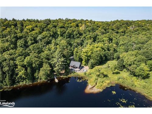 195 Charlies Lane, Huntsville, ON - Outdoor With Body Of Water With View