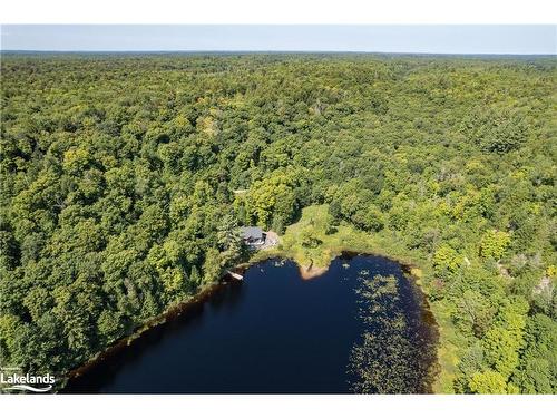 195 Charlies Lane, Huntsville, ON - Outdoor With Body Of Water With View