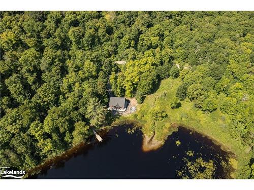 195 Charlies Lane, Huntsville, ON - Outdoor With Body Of Water With View