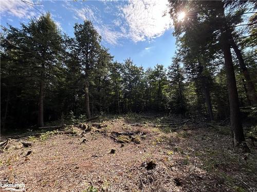 Lot 31 & 33 Concession 7 Concession 7 Road, Sprucedale, ON 