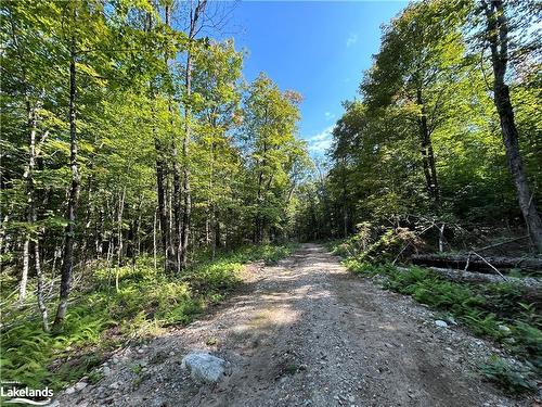 Lot 31 & 33 Concession 7 Concession 7 Road, Sprucedale, ON 