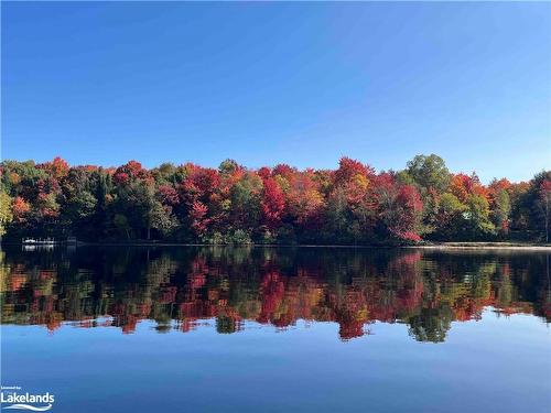 240 West Fox Lake Road, Huntsville, ON - Outdoor With Body Of Water With View